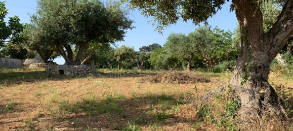 3غرفة منزل في Locorotondo, Italy رقم 22326 13