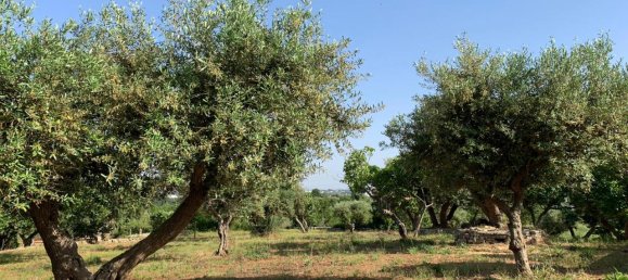 3غرفة منزل في Locorotondo, Italy رقم 22326 17