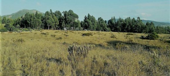 Terrain à Valparaiso, Chile No. 581 2