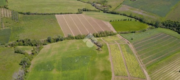 71676m² Land in Rimini, Italy No. 67082 2