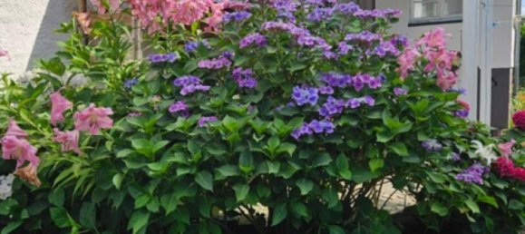 Таунхаус с 3 спальнями в Celle, Германия № 229513 16