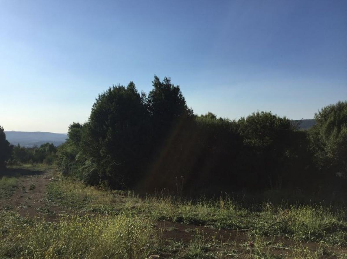  Land in Neuquen, Argentina No. 32602