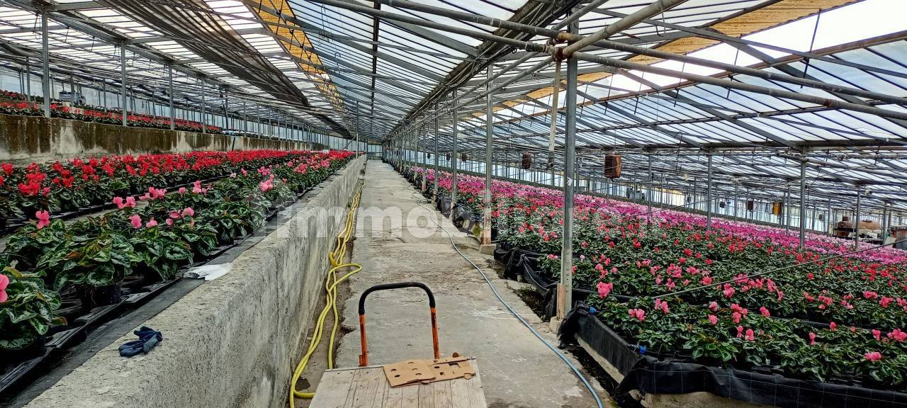 17000m² Land in Sanremo, Italy No. 396002