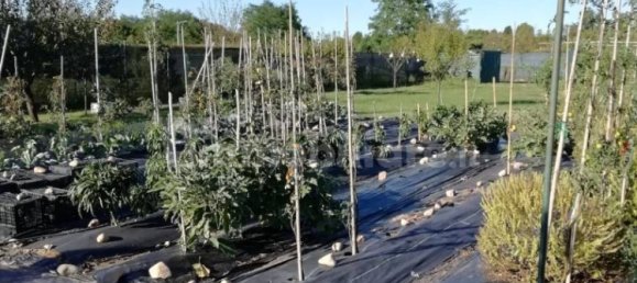 Grundstück in Busto Arsizio, Italy 900m², Nr. 377401 10