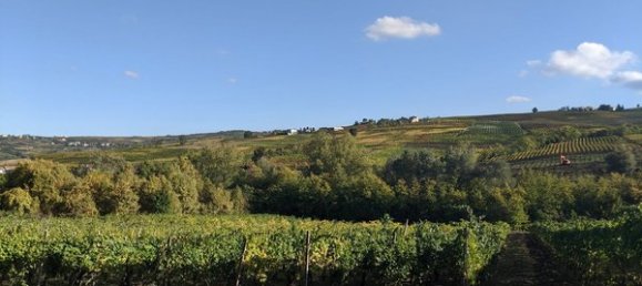 6-salle Villa à Santa Maria della Versa, Italy No. 254759 13