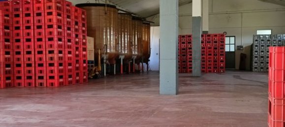 6-salle Villa à Santa Maria della Versa, Italy No. 254759 3