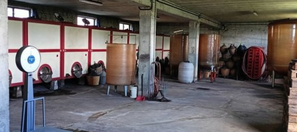 6-salle Villa à Santa Maria della Versa, Italy No. 254759 7