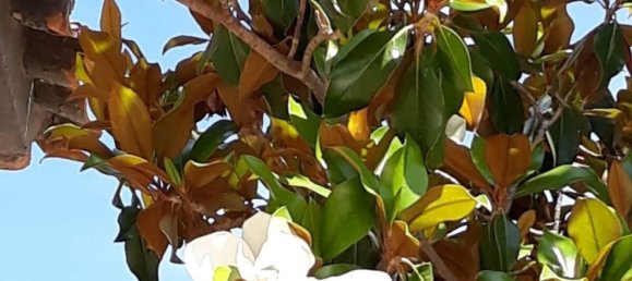 3 chambres Maison à Cuarte de Huerva, Spain No. 62008 18