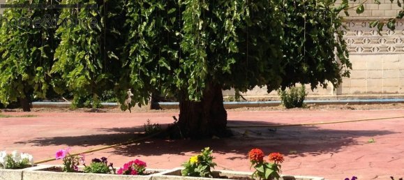 3 chambres Maison à Cuarte de Huerva, Spain No. 62008 48