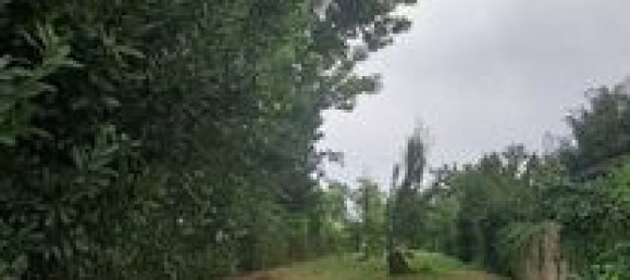 Terrain à Rieumes, France 350m² No. 289048 2