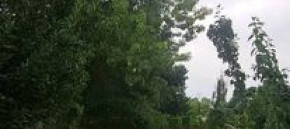 Terrain à Rieumes, France 350m² No. 289048 3