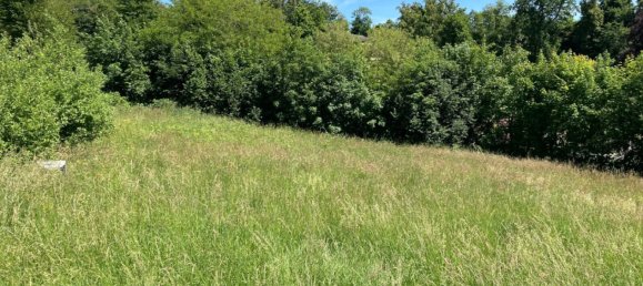  Land in Wartberg ob der Aist, Austria No. 93666 5