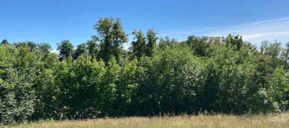  Land in Wartberg ob der Aist, Austria No. 93666 3