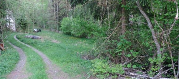 Terrain à Altenfelden, Austria No. 164202 4