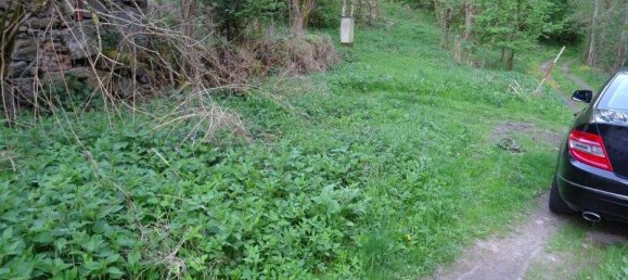 Terrain à Altenfelden, Austria No. 164202 2