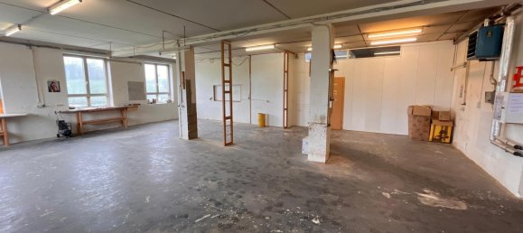 Gewerbliche Immobilie in Haidershofen, Austria 1100m², Nr. 127982 4