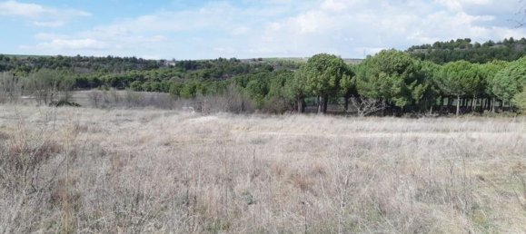 Grundstück in Valladolid, Spain 70707m², Nr. 87066 8