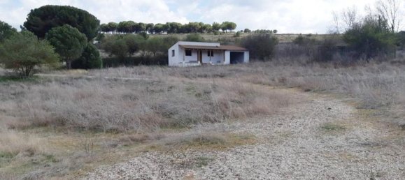 Grundstück in Valladolid, Spain 70707m², Nr. 87066 7