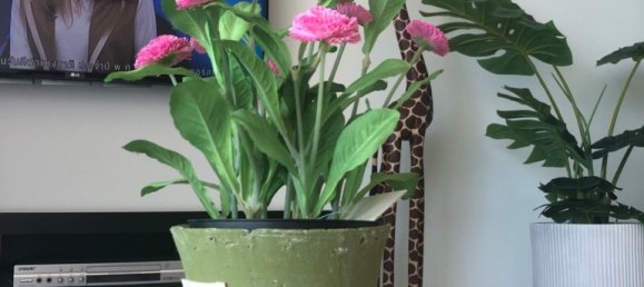 1 bedroom Condo in Pattaya, Thailand No. 5283 11