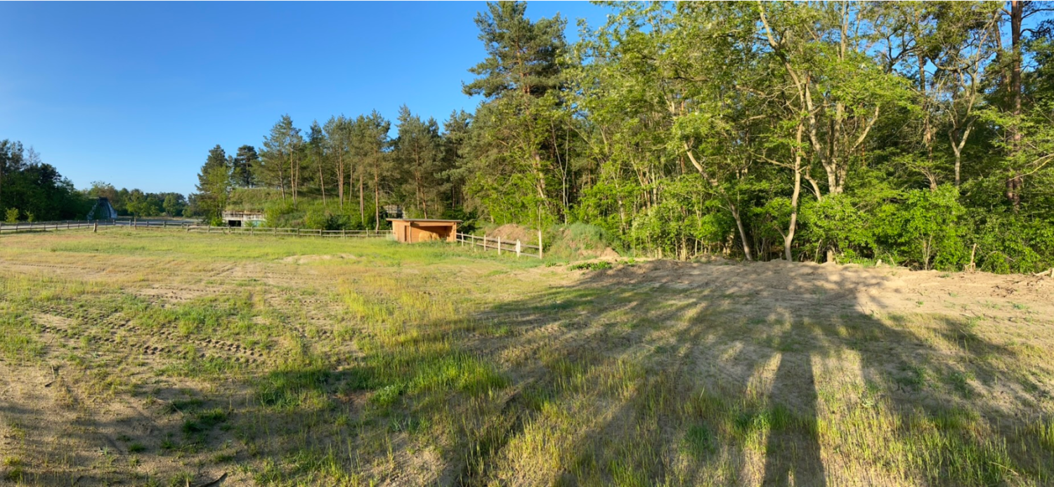 Grundstück in Märkisch-Oderland, Germany, Nr. 226493