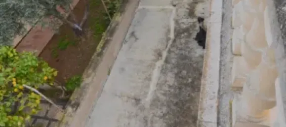 Casa T6 em Alcudia, Spain N.º 173903 14