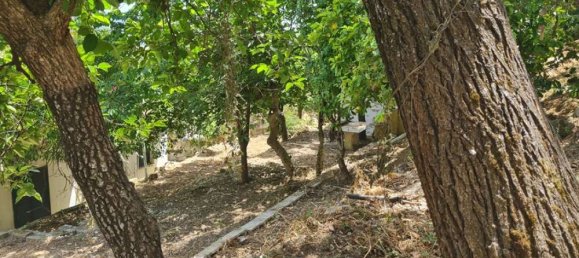 3 bedrooms Hotel in Zakynthos, Greece No. 557 10