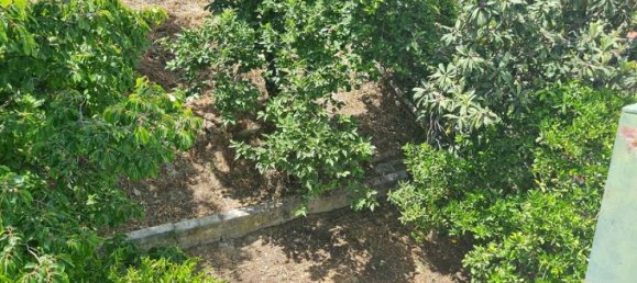 3 bedrooms Hotel in Zakynthos, Greece No. 557 2