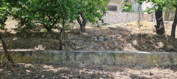 3 bedrooms Hotel in Zakynthos, Greece No. 557 3