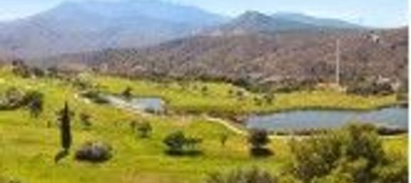 4677m² Land in Alhaurin el Grande, Spain No. 126107 14