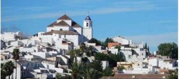 4677m² Land in Alhaurin el Grande, Spain No. 126107 16