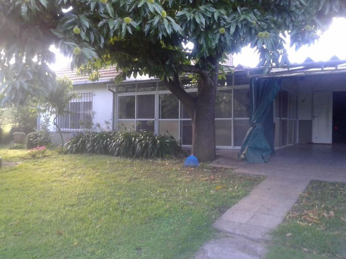 Studio in General Pueyrredon, Argentina No. 384