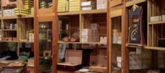 1 room Commercial property in Cadoneghe, Italy No. 219842 7