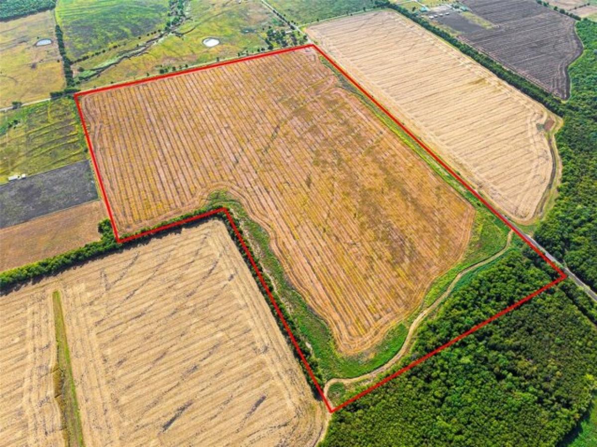  قطعة أرض في Farmersville, USA رقم 474256