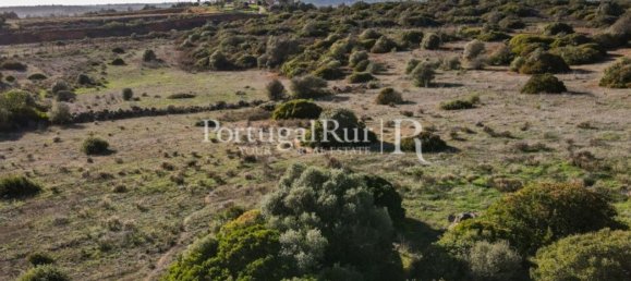 Terreno em Odiáxere, Portugal 186619 m² N.º 130365 25
