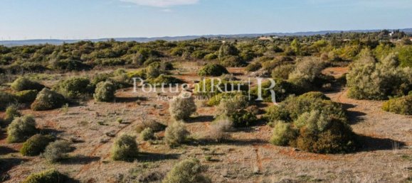 Terreno em Odiáxere, Portugal 186619 m² N.º 130365 18