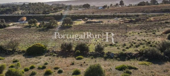 Terreno em Odiáxere, Portugal 186619 m² N.º 130365 33