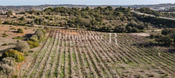 Terreno em Odiáxere, Portugal 186619 m² N.º 130365 6