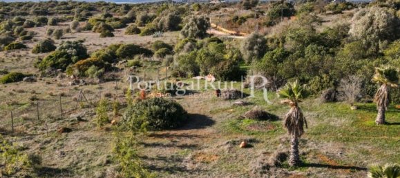 Terreno em Odiáxere, Portugal 186619 m² N.º 130365 24