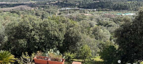 5 bedrooms House in Porto-Vecchio, France No. 72053 13