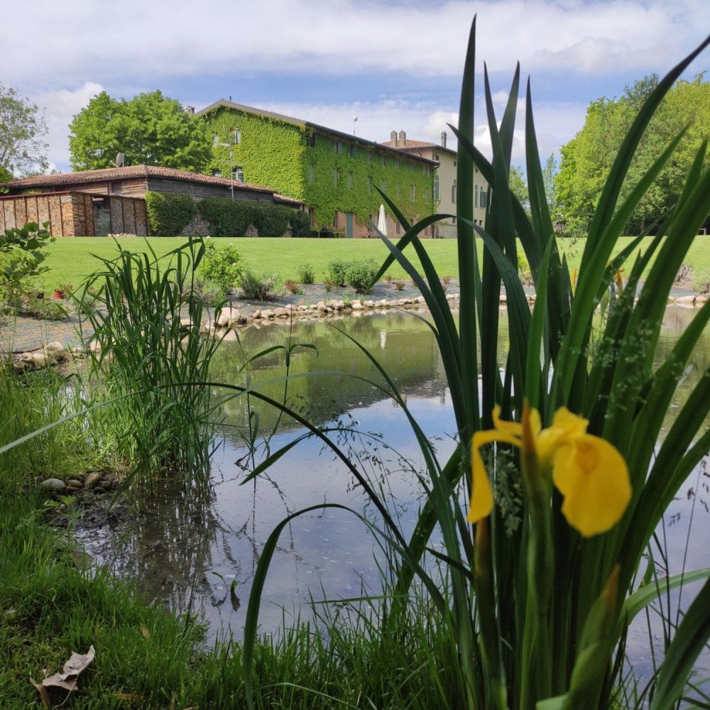 3 rooms Apartment in Sona, Italy No. 226155