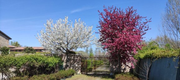 3 rooms Apartment in Sona, Italy No. 226155 6