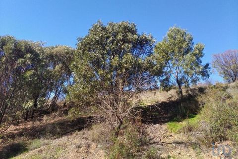 Terreno en Tavira, Portugal 7880 m² No. 150663