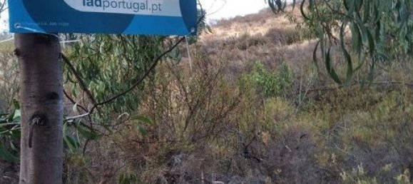 Terreno en Tavira, Portugal 7880 m² No. 150663 7