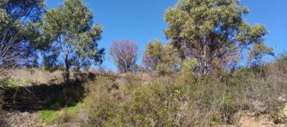 Terreno en Tavira, Portugal 7880 m² No. 150663 2