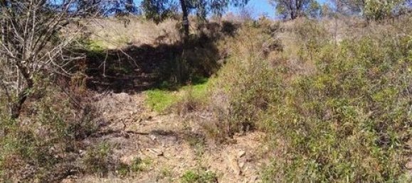 Terreno en Tavira, Portugal 7880 m² No. 150663 3