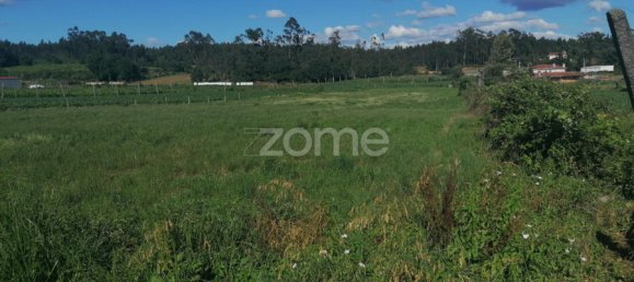 Grundstück in Vila Nova de Famalicao, Portugal, Nr. 32687 15