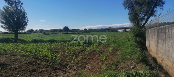 Grundstück in Vila Nova de Famalicao, Portugal, Nr. 32687 14