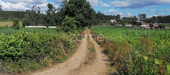 Grundstück in Vila Nova de Famalicao, Portugal, Nr. 32687 3