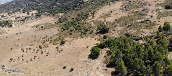  Land in Ronda, Spain No. 20514 15