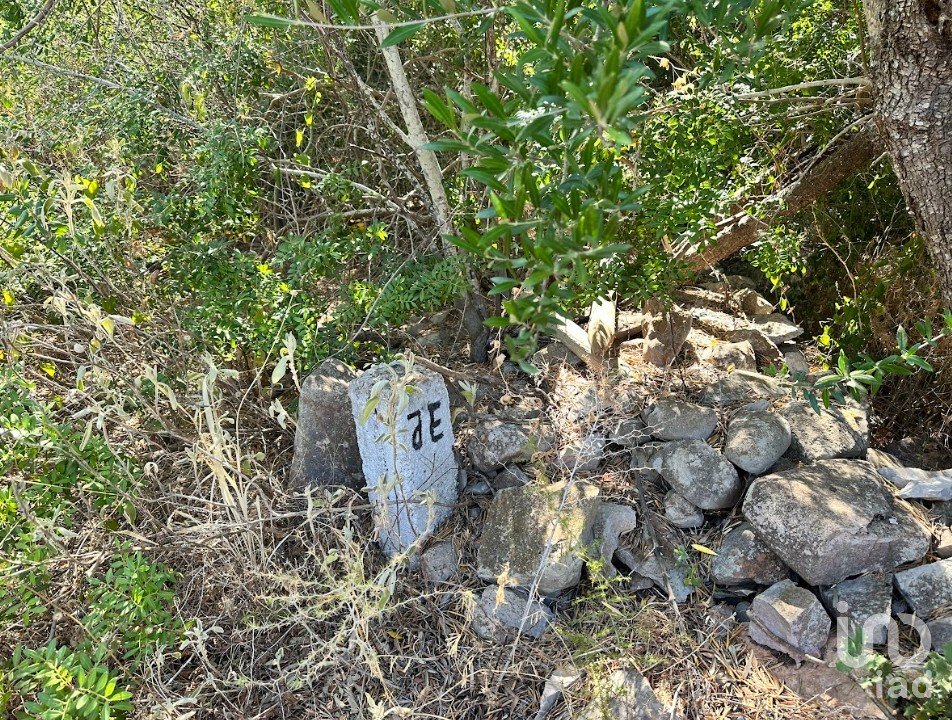 Grundstück in Tavira, Portugal, Nr. 307531